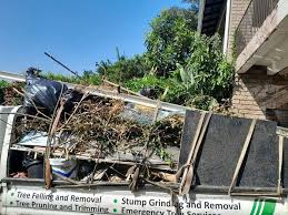 Best Electronics and E-Waste Disposal  in Shiloh, PA