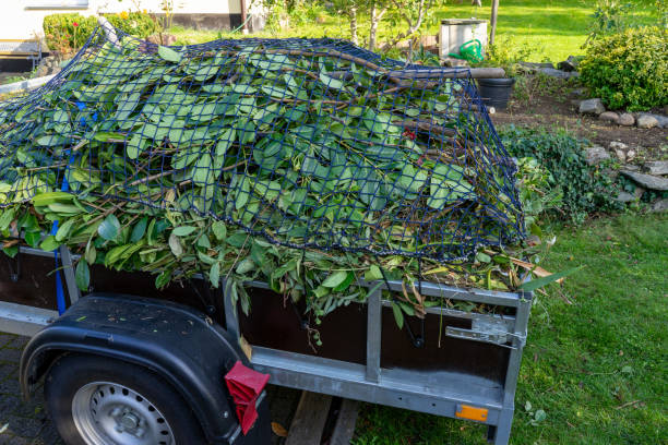 Best Furniture Removal  in Shiloh, PA